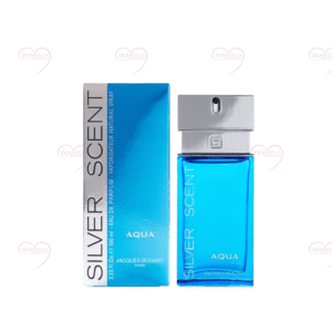 Silver Scent Aqua - Eau de Parfum Masculino - 100ml