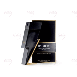 Bad Boy - Masculino Eau de Toilette - 100ml